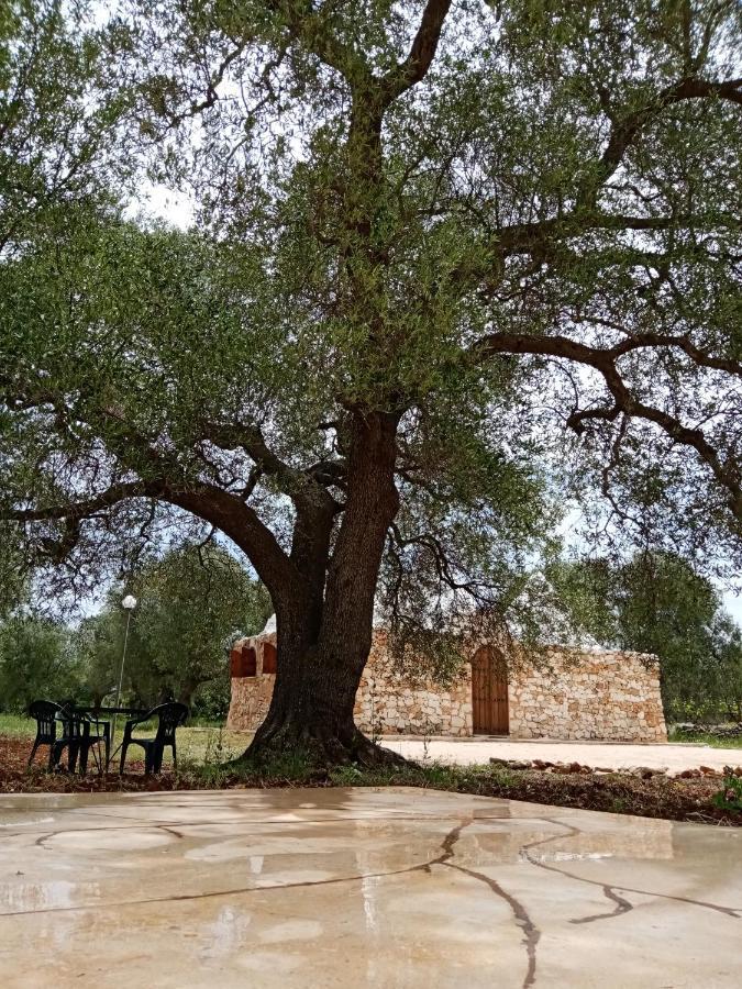 Trulli Monte Madre Villa Сан Вито дей Нормани Екстериор снимка
